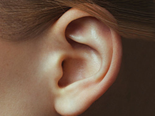 visage-oreilles